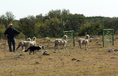 Penning at the TX Finals