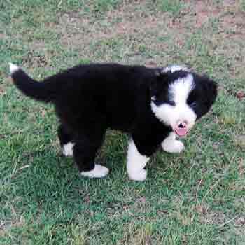 Male "Did you call me?"