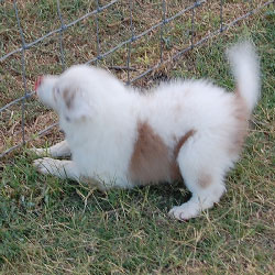 Bree Wanting to Work