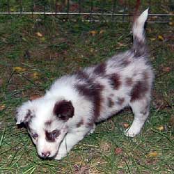 BlackEyed Pea Posing